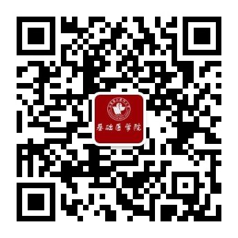 山东省高校人体解剖与组织胚胎学教学团队