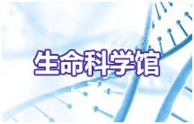 ky体育app官网登录