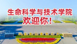 ky体育app官网登录