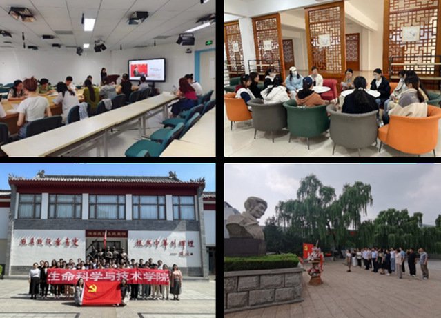历史沿革: