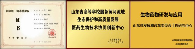 历史沿革: