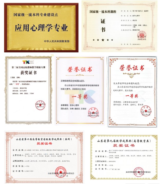 山东省高水平应用型立项建设专业