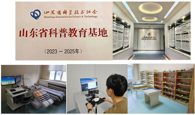 山东省一流本科专业