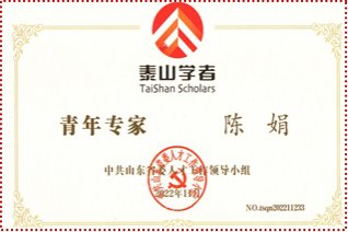 级学科硕士授权点