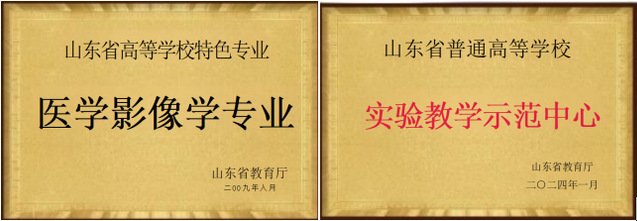 山东省“高水平应用型立项建设专业群”