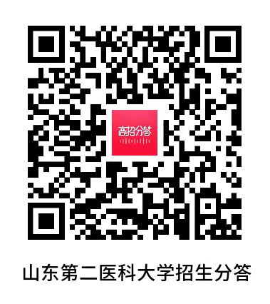 通知公告